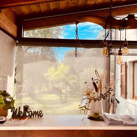 Agritur Fiore D'Ulivo 加尔达湖滨 外观 照片