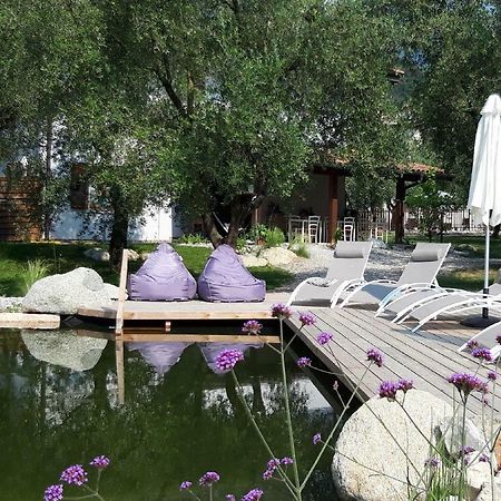 Agritur Fiore D'Ulivo 加尔达湖滨 外观 照片