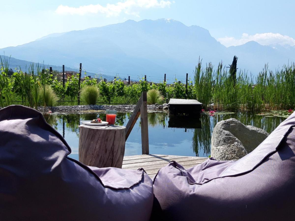 Agritur Fiore D'Ulivo 加尔达湖滨 外观 照片