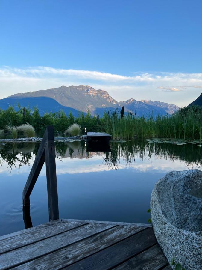 Agritur Fiore D'Ulivo 加尔达湖滨 外观 照片