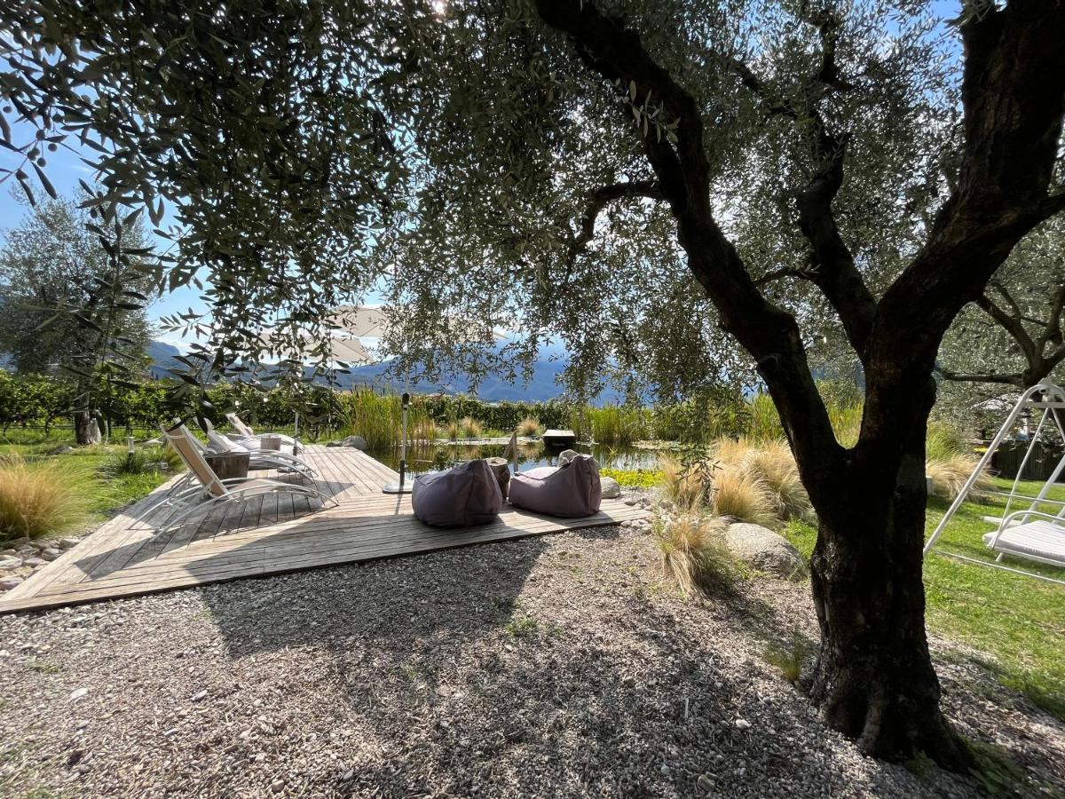 Agritur Fiore D'Ulivo 加尔达湖滨 外观 照片