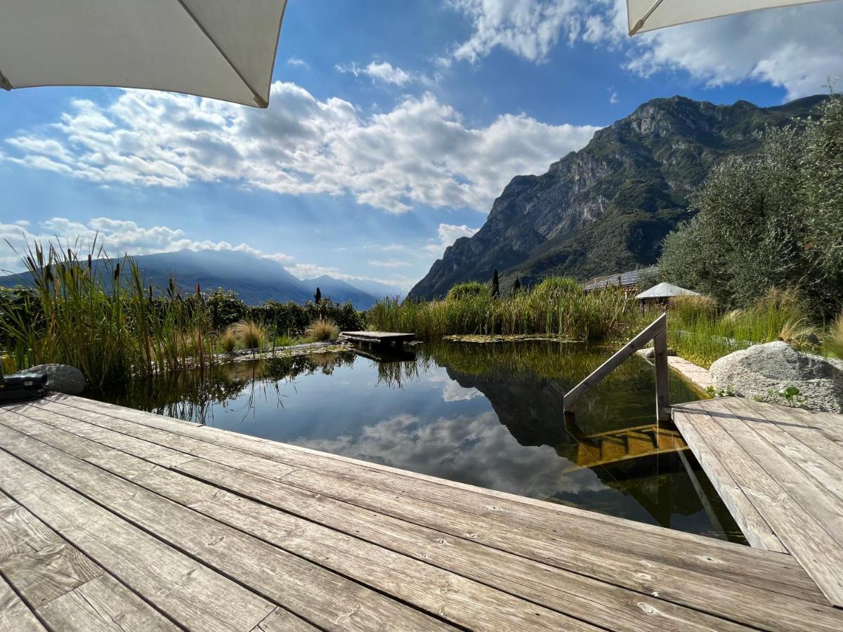 Agritur Fiore D'Ulivo 加尔达湖滨 外观 照片