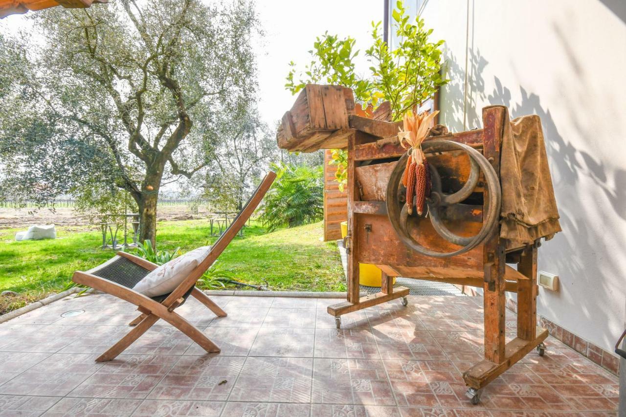 Agritur Fiore D'Ulivo 加尔达湖滨 外观 照片