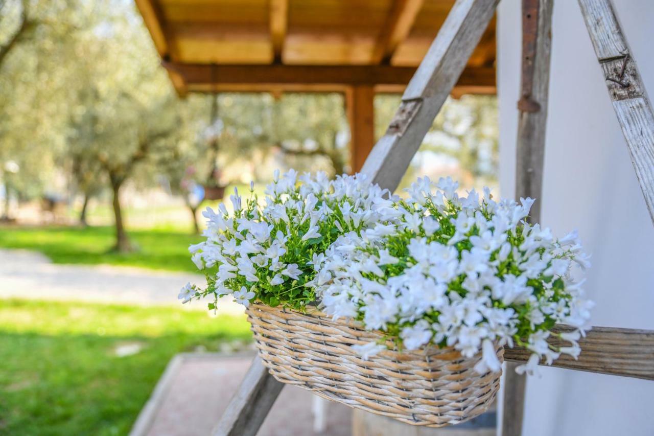 Agritur Fiore D'Ulivo 加尔达湖滨 外观 照片