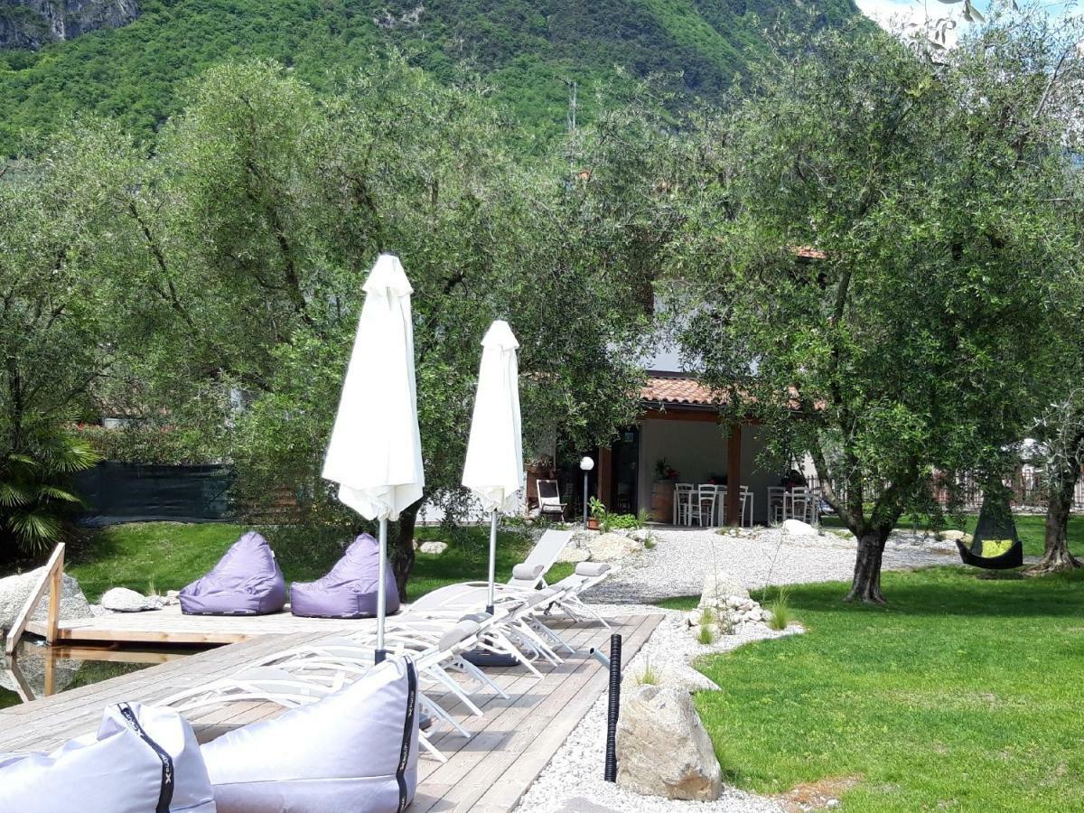 Agritur Fiore D'Ulivo 加尔达湖滨 外观 照片