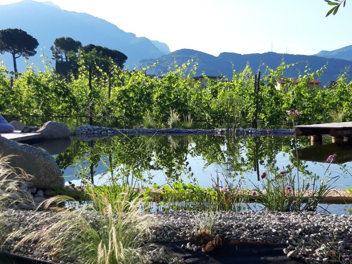 Agritur Fiore D'Ulivo 加尔达湖滨 外观 照片