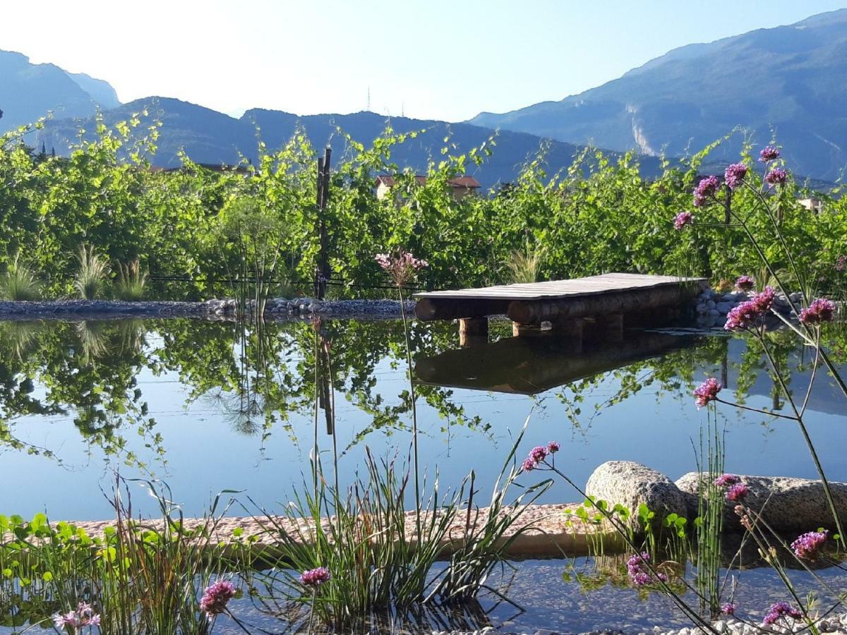 Agritur Fiore D'Ulivo 加尔达湖滨 外观 照片